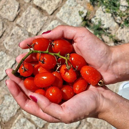 Horta Das Laranjas Serpa Kültér fotó